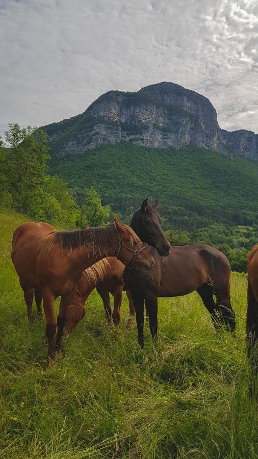 Studio Au Pied De La Montagne Et Vue Imprenable Saint-Alban  Exteriér fotografie