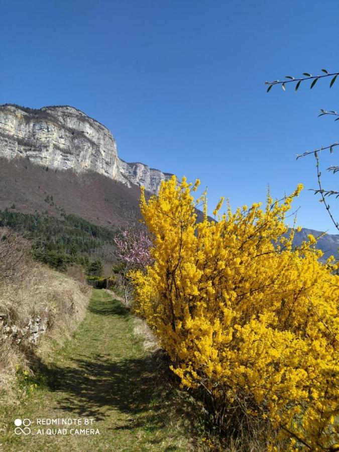 Studio Au Pied De La Montagne Et Vue Imprenable Saint-Alban  Exteriér fotografie