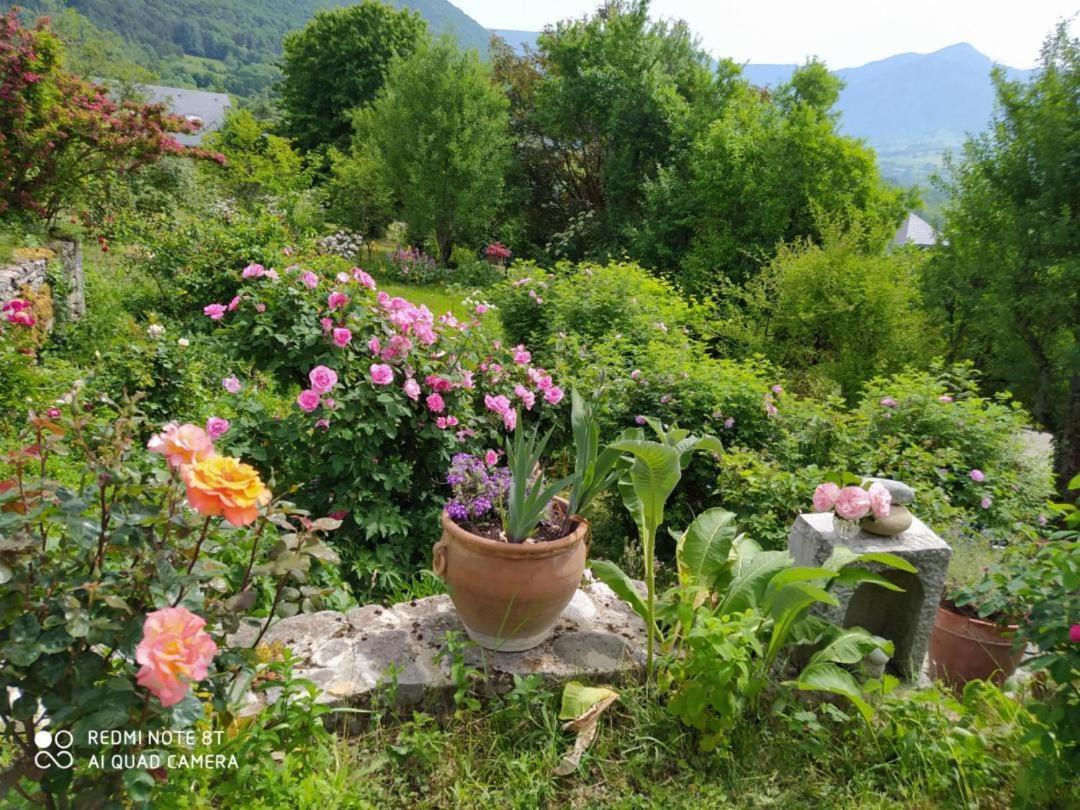 Studio Au Pied De La Montagne Et Vue Imprenable Saint-Alban  Exteriér fotografie